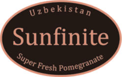 sunfinite 로고