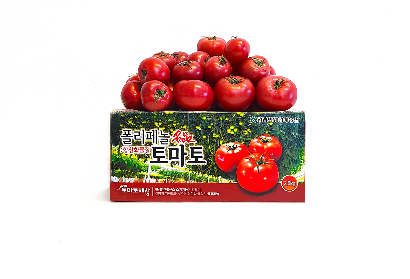 폴리페놀토마토
